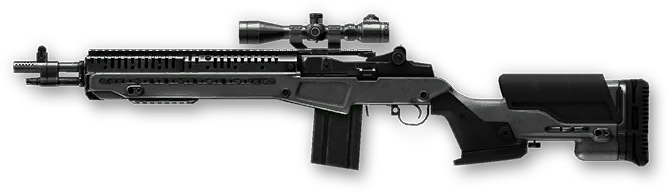 M14 Crazy Horse