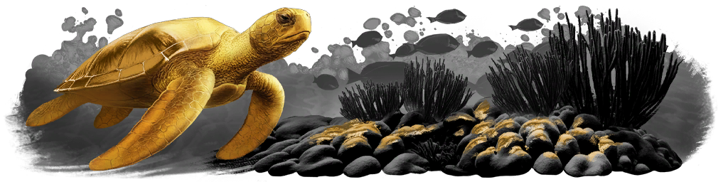 Файл:Challenge stripe shg76 gold01.png