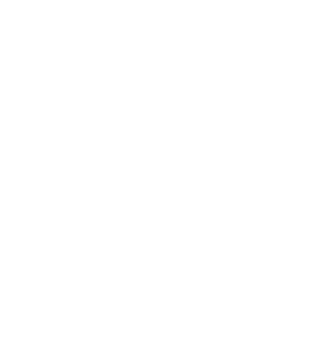 Logo-icon.png