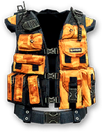 Shared vest crown 02.png