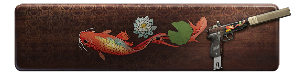 Файл:Challenge stripe pt14 25bp09asia.png