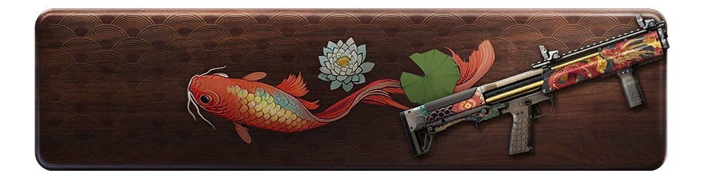 Файл:Challenge stripe shg13 25bp09asia.png